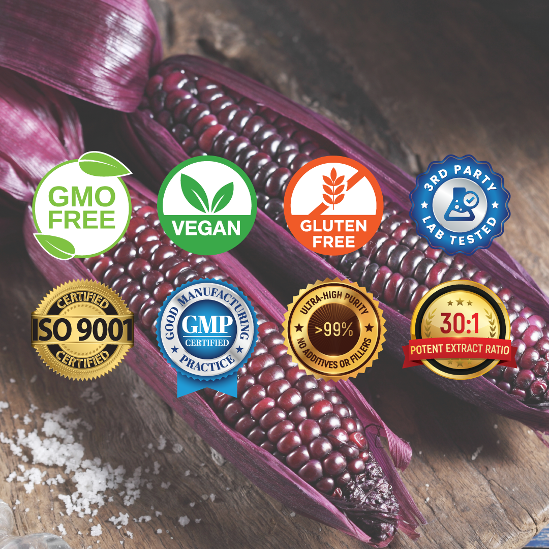 Fermented Purple Corn Extract Fermented Purple Corn Extract