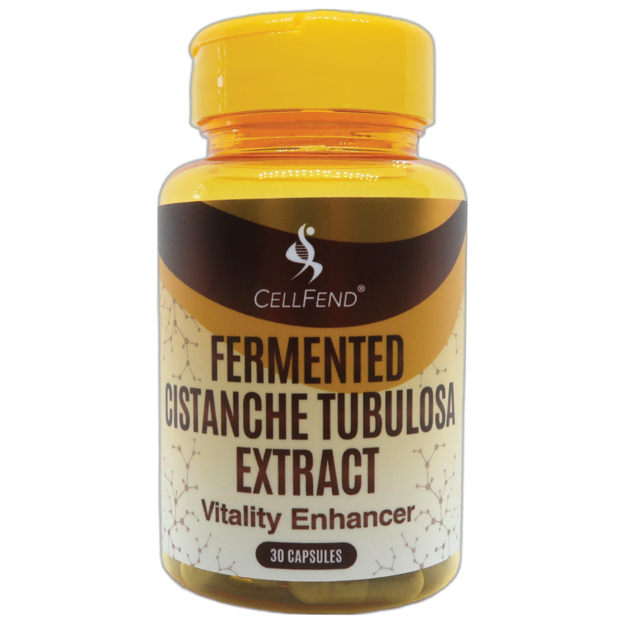 Fermented Cistanche Tubulosa Extract