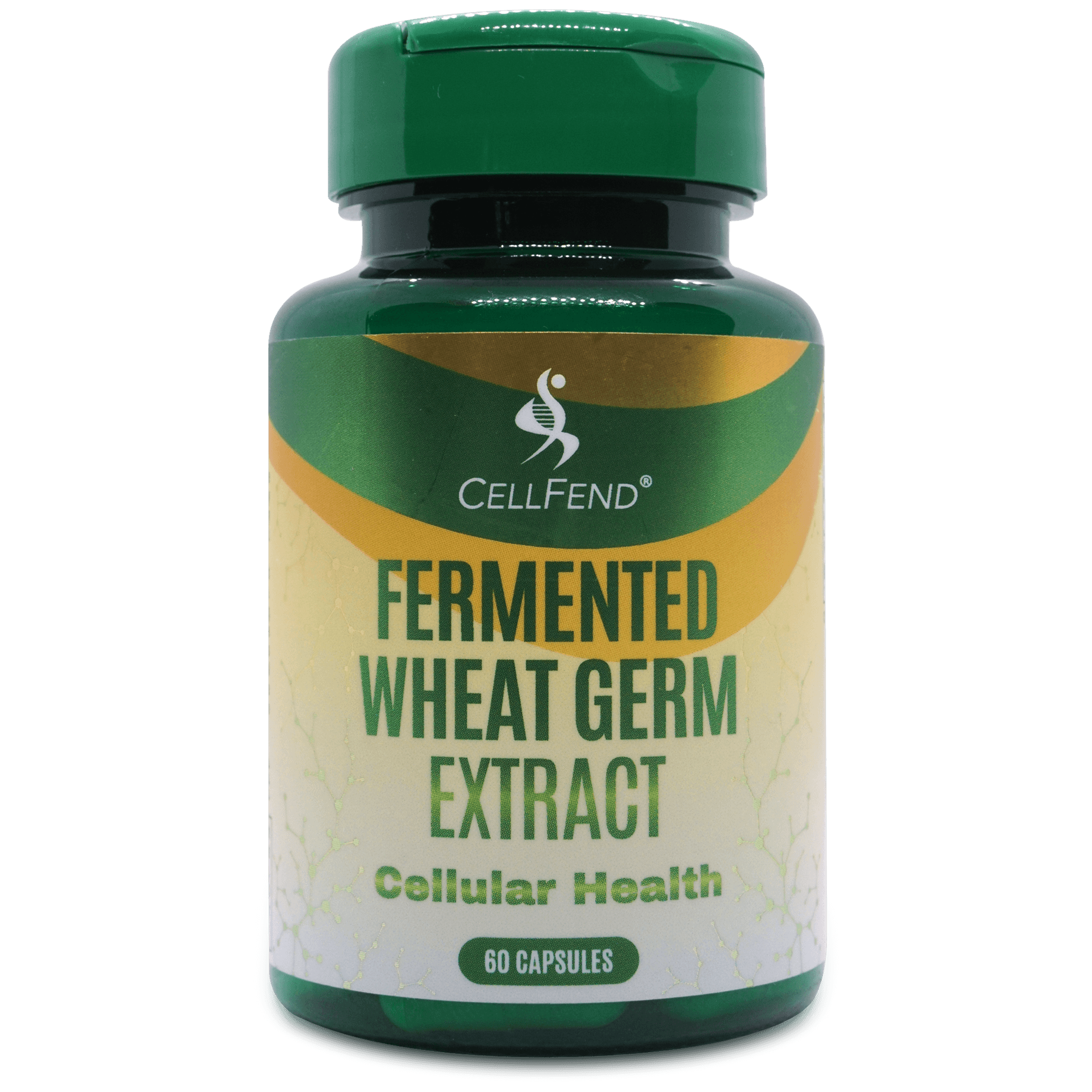 Fermented Wheat Germ Extract